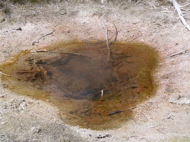 images/F- West Thumb Geyser Basin (26).jpg